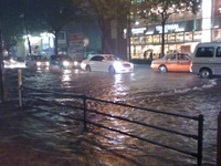 道路冠水をリアルタイム検知へ、気象データとコネクティッドカー情報で　ウェザーニューズ×トヨタ 画像