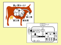 牛のゲップを抑制して温暖化防止…出光興産 画像