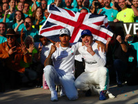 【F1 アメリカGP】ハミルトンが6度目のワールドチャンピオンに…優勝はボッタス 画像