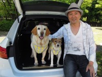 【青山尚暉のわんダフルカーライフ】ドッグフレンドリーカー・オブ・ザ・イヤー2019はこのクルマ！ 画像