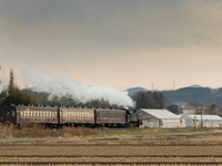 真岡鐵道のC11が12月1日にラストラン、11月23日はC12と重連に…東武に移籍予定 画像