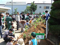 横浜ゴム、三重工場で苗木5500本を植樹 画像