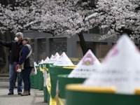 外出を自粛しないのは高齢者？ 上野公園お花見行動分析---新型コロナ感染拡大防止 画像
