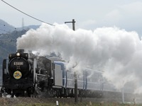 北陸本線のSL列車も当面運行を見合せ…京都のトロッコ列車は緊急事態宣言に備え運休に　新型コロナウイルスの影響 画像