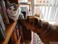 ［リアニマル］ペットの資格：愛玩動物救命士…取り方や活かし方 画像