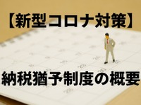 新型コロナ対策、納税猶予制度の概要---対象の税金と対象者 画像