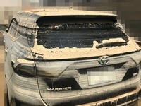 損害車買取・販売の タウ、ネット取引の利点と難点---新型コロナウイルスの影響 画像