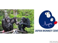 日本モンキーセンター、オンラインワークショップを開催　5月5日［リアニマル］ 画像