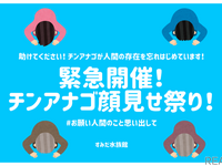 お願い！ すみだ水族館が「チンアナゴ顔見せ祭り」　5月3-5日［リアニマル］ 画像
