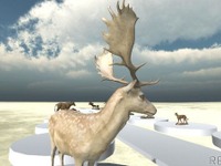 非公開の剥製コレクションをVRとして配信…国立科学博物館［リアニマル］ 画像