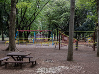 大型連休中の人出激減---新幹線・特急利用95%減、高速道死亡事故ゼロ［新聞ウォッチ］ 画像