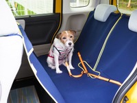 【青山尚暉のわんダフルカーライフ】道路交通法違反にならないために! 正しい愛犬の乗せ方 画像