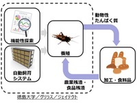 コオロギを食糧に---ジェイテクト、産学連携で資源化を推進 画像