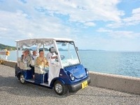 グリーンスローモビリティを実証調査、自治体を公募　国交省 画像