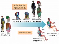 トヨタ、バーチャル人体モデル「サムス」を無償公開へ…クルマの安全性能向上に貢献 画像