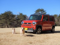 【青山尚暉のわんダフルカーライフ】軽自動車でも天候や路面に左右されない、クロスオーバーモデル 画像