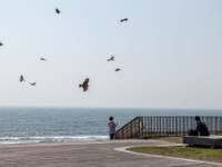 緊急事態宣言下、5.7％が「ドライブに行った」と回答　ホンダアクセス調べ 画像