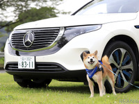 メルセデス・ベンツ EQC は乗れば乗るほど気持ちが豊かになっていくEV…愛犬も安心できる快適性 画像