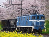 秩父鉄道の貨物専用駅で初イベント…石灰石輸送用貨車20両編成も初入線　10月3・4日 画像