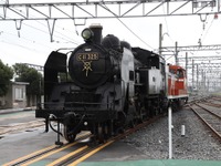 東武鉄道にC11 325が入線---SL列車は1日最大4往復8本に 画像