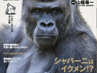 ゴリラの魅力が詰まった『ゴリラのすべて』---国内全ゴリラを網羅［リアニマル］ 画像