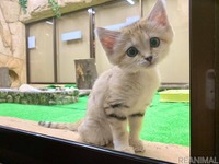 旅好きが選ぶ！ 動物園・水族館ランキング2020［リアニマル］ 画像