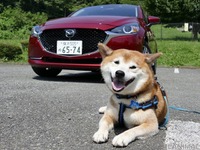 【柴犬ハルの気になるクルマ】ディーゼルの音やパワーフィールをどう感じる? マツダ2で試した 画像