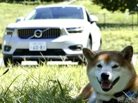 【柴犬ハルの気になるクルマ】ボルボ XC40リチャージ…余裕の顔つき!? 上級モデルに通じる快適さ 画像