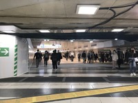 新宿駅エリアの屋内電子地図を公開…民間の新サービス創出を促進　国交省 画像