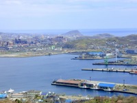 MaaSで地域交通を活性化---オンデマンド交通など WILLERと室蘭市が連携 画像