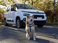 【柴犬ハルの気になるクルマ】シトロエン ベルランゴ…帯にするにも襷にするにも自由自在 画像