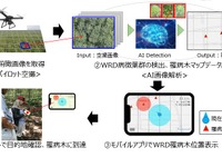 ブリヂストンなど、「パラゴムノキ」の高精度病害診断技術を開発 天然ゴム安定供給へ 画像