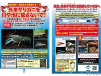 「ザリガニ相談ダイヤル」開設…特定外来生物に指定、飼養など相談に対応 環境省 画像
