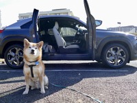 【柴犬ハルの気になるクルマ】マツダ MX-30 のフリースタイルドアと愛犬の相性 画像