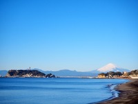 神奈川県の江の島周辺で自動運転バスの実証実験---ハンドルのないナビヤ・アルマ 画像