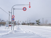 「事業用自動車総合安全プラン」案、2025年までに死者数225人以下　国交省 画像