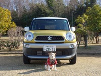 【青山尚暉のわんダフルカーライフ】コロナ禍、愛犬とのドライブ旅行に安心して出かけるには? 画像