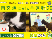 猫にレクチャー？「交通にゃん全クイズ」猫参加型の安全キャンペーン 画像