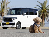 ホンダ 新型 N-BOX Customで愛犬と日帰りドライブ…安全で快適なペット用アイテムが活躍 画像