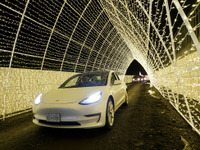 車載用LiB世界市場、補助金頼みで成長維持に懸念も---矢野経済研究所 画像