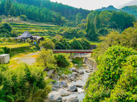 博報堂と浜松市、めざすは「日本版MaaS」---持続可能な地域交通創出プロジェクト開始 画像