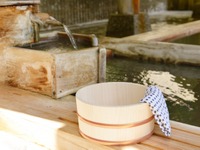 春レジャーの傾向…温泉めぐりが人気、予算は平均2万3883円 画像