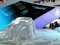 【パリモーターショー08】開催直前写真蔵　あのクルマも…!? 画像