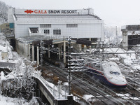 新幹線トンネル湧水で育った「鉄道わさび」を販売、6次産業化めざす 画像