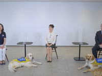 介助犬や思いやりのある交通社会 ジュディ・オング氏×JAF坂口副会長が対談 画像