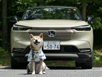 【柴犬ハルの気になるクルマ】新型 ホンダ ヴェゼル とハルの夏支度 画像