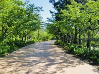 交通グリーンチャレンジに向けて推進本部を新設　国交省 画像