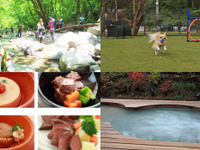 くるまの旅ナビ、ペットと泊まれるホテル100選を発表…1位は「ドッグスパリゾート アルトピアーノ」 画像