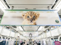「深い癒やしトレイン」再び登場、水族館の人気者も!! 画像