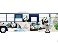【夏休み】パンダを全面ラッピング…アドベンチャーバス運行 画像